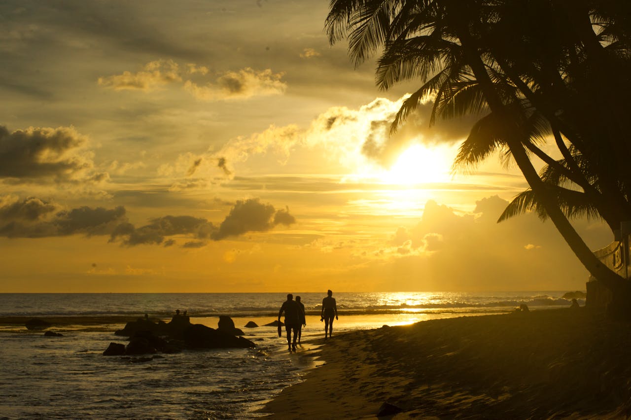 Coastal Charms: Bentota, Galle & Unawatuna Tour